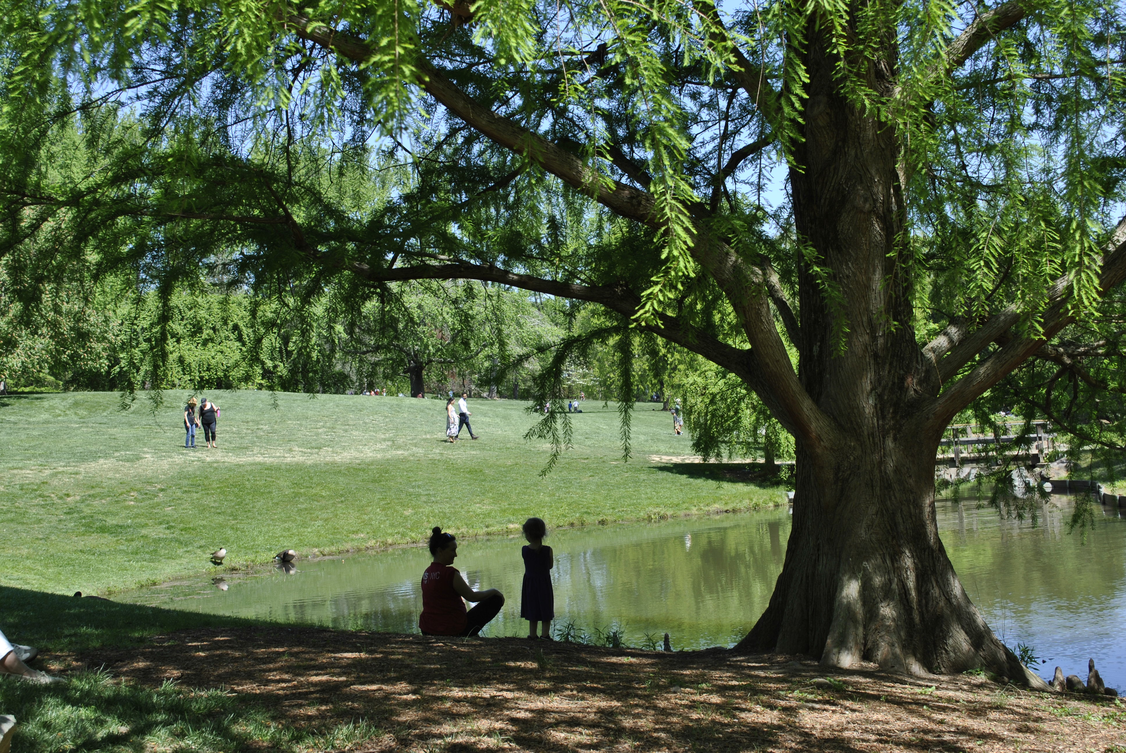 Brookside Gardens